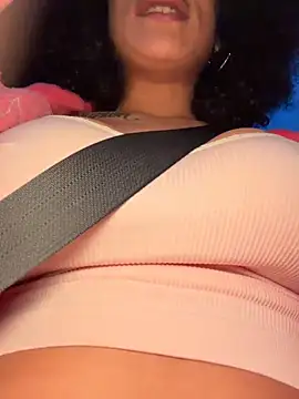 FerrariFrench webcam