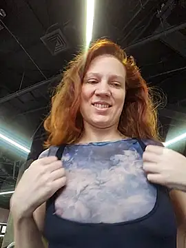 Exhibitionsplit webcam