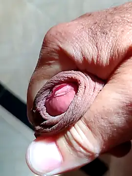 Casadocurioso50 webcam