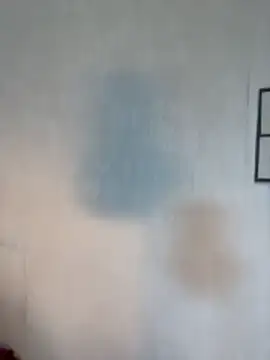 BlueVelvetBat webcam