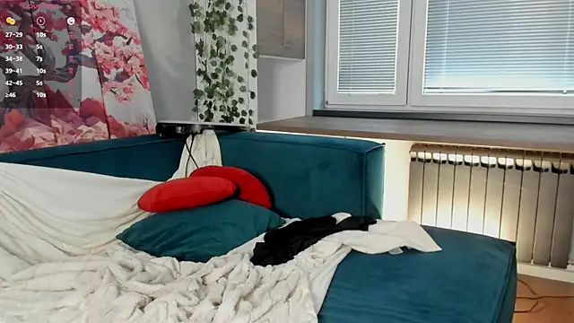 JanuaryElwell webcam