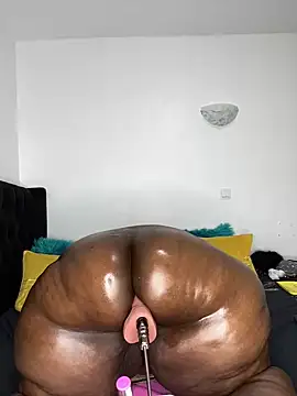 Barbecue_Sauce webcam