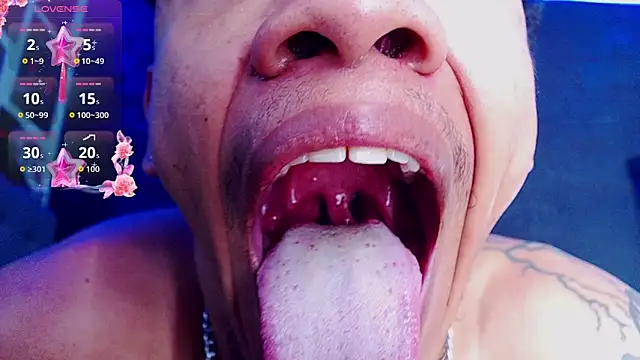 Romancartier_1 webcam