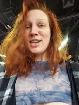 Exhibitionsplit webcam