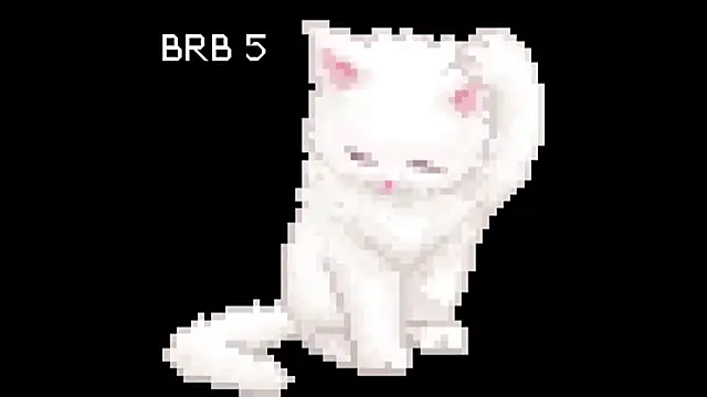 BlinkingDross webcam