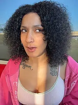 FerrariFrench webcam