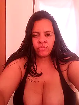 lapatronav2026 webcam