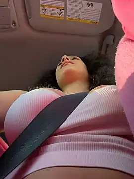 FerrariFrench webcam