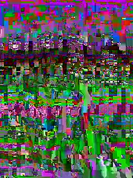 VelvetBlossom webcam