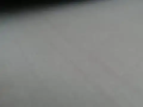 steelwings1976 webcam