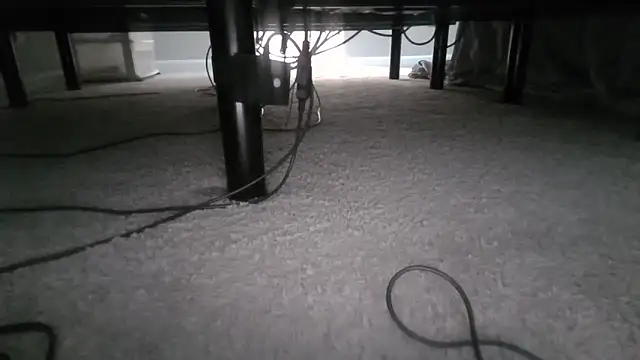 chubbydilf1988notgayorbi webcam