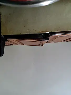 Scarlet_curly8a webcam