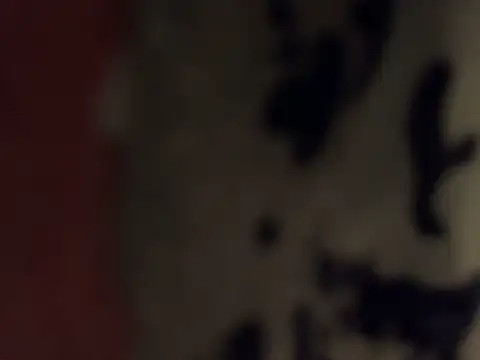 Preview of skatebored