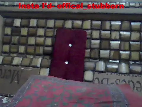 Stubborndesiboy webcam