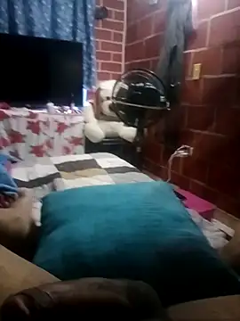 parejanuevahoff webcam