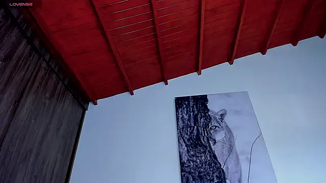 Santos_ramirez1 webcam