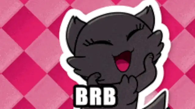 Genesis_Montenegro_OA webcam