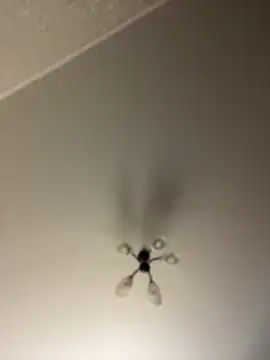 poly_nick (G young) - 🥰For happiness🥰