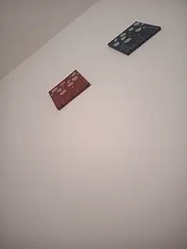 SOLTEIRASIGILO webcam