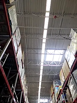 Mifavorito2024 webcam