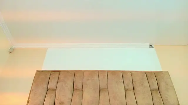 CharlotteSchmidtt webcam