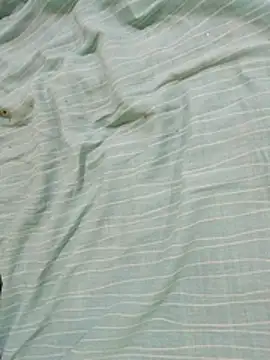 JamesQuaresma webcam