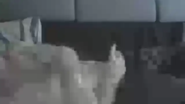 chceciedalsiebie webcam