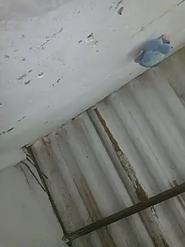 PatriciaGrajales webcam