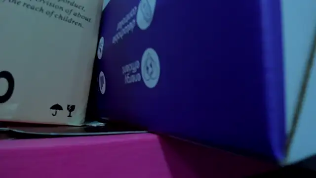 RoxanneMorguet_ webcam