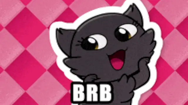 Genesis_Montenegro_OA webcam