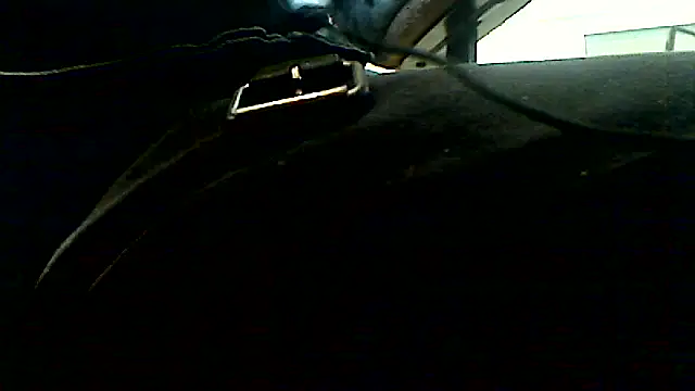 markluvskitty webcam