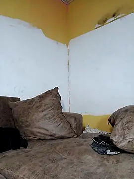 bigblackbangerkay webcam