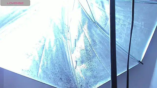 scarlet_brown_hh webcam