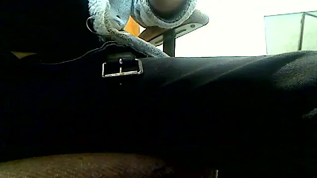 Preview of markluvskitty