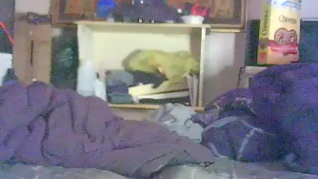 GUAPAN3S3_FIR3 webcam