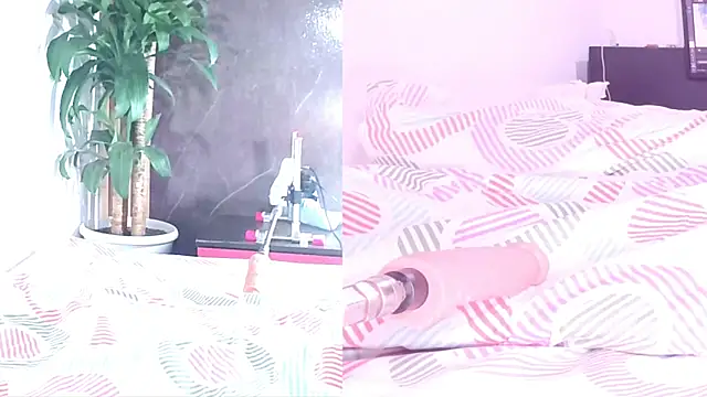 Sophia_Lovers01 webcam