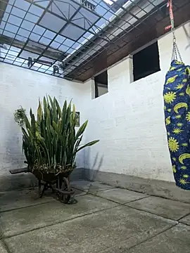 oliver_price1 webcam