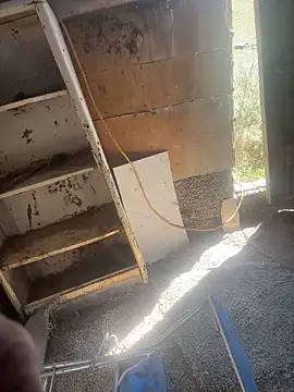 Followthepiper webcam