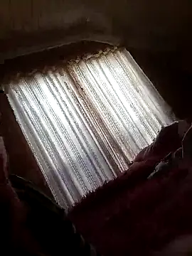 thegirlsshot_666 webcam