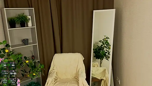 MaraBrookfieId webcam