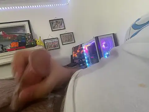 HardlyaBrigade webcam