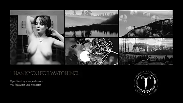 Borealisatelier webcam