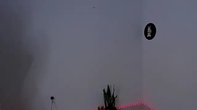 star_shooting8 webcam