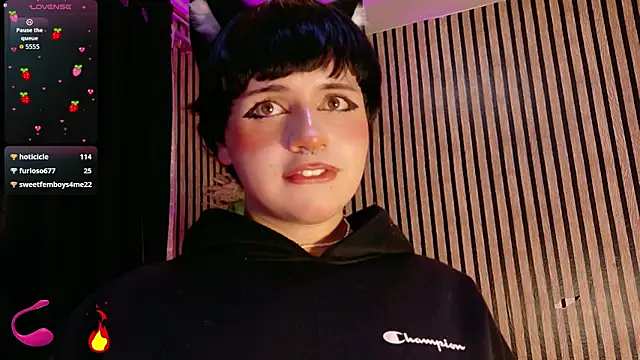 Hiddenhotcake webcam