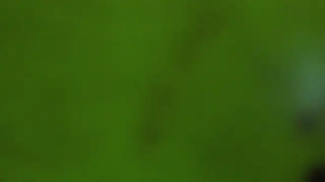 angelswets live sex cam