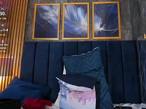 Lancelot_Benwick webcam