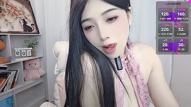 Augenstern_cat webcam