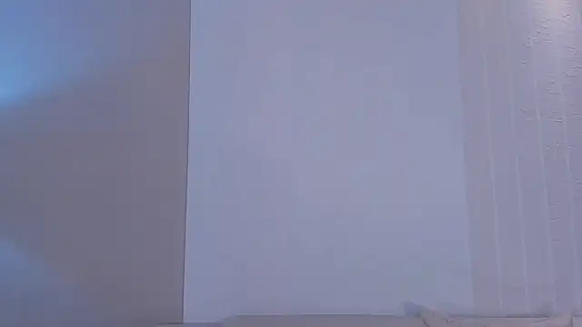 LaurentRosse1 webcam