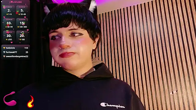 Hiddenhotcake webcam