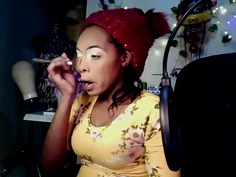 Preview of anaconda2350